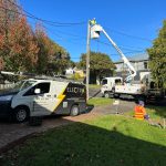 Power Poles Insights for Melbourne Homeowners