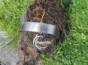 Vac Trucks Clear Tree Roots from Blocked Drains Efficiently