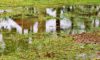 Stormwater Drain Solutions for Wollongong’s Causes