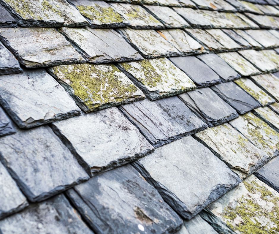 Slate Roof Repair: Critical Warning Signs to Act On