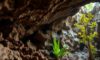 Belizean Caves: Exploring Archaeology, Climate, and Nature