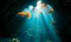 Belize Diving: Explore Hidden Underwater Treasures Beyond Blue Hole