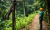 Zip Lining Adventures in Belize Rainforest Canopy Tours