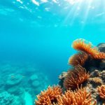 Snorkeling the Belize Barrier Reef: Top Spots and Marine Life