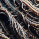 Effective Strategies to Reverse Heat Damage