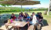 Discover Your Ideal Wine Adventure at Yarrawood Estate