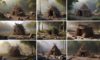 Primitive Shelter Designs for Building the Perfect Shelter