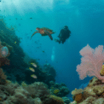 Belize Barrier Reef: Your 2025 Diving and Snorkeling Paradise