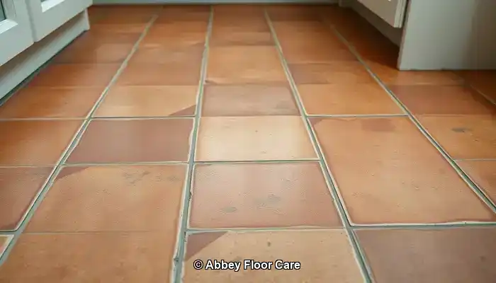 Factors That Lead to Quick Dirt Build-Up on Terracotta Floors