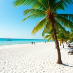 Belize Weather, Prices, Crowds & Activities in January