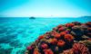 Belize Travel Guide: Essential Locations and Tips