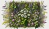 Herbal Remedies Basics: Essential Guide for the UK