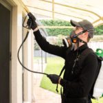 Roof Dusting Pest Control: Understanding Its Low Necessity