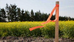 Subdivision Surveys: Essential Guide for Clyde North Land Division